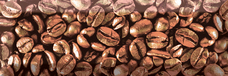 Absolut Keramika Decor Coffe Beans 03 10х30