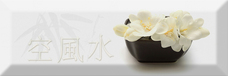Absolut Keramika Decor Japan Tea 04 A 10х30