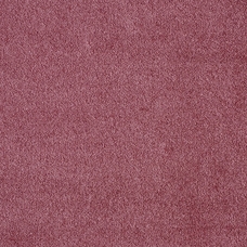 Ковровое покрытие AW Seduction 67