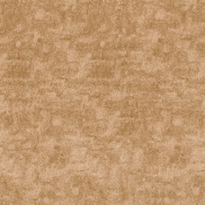 Ковровое покрытие AW Vittorio 35