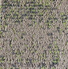 Ковровая плитка Neuflor Desert 600905+New Leaf Ковровая плитка Neuflor Desert 600905+New Leaf