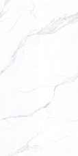 BHW-0022 Керамогранит BASCONI HOME Carrara Matt 600x1200x10 grains soft-polished mould						