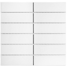 Керамическая мозаика Starmosaic 47x147 White Matt (V-VW56000) 30х30