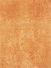 Настенная плитка Rako Patina WATKB231 Brown Red33x25