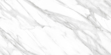 Керамогранит Absolut Gres AB 1013G Calacatta Grey Glossy gloss 60х120