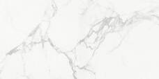 Керамогранит Absolut Gres AB 1095G Carrara Classic gloss 60х60