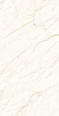 Керамогранит Arcadia Ceramica Ceasar Carving 60х120