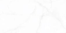 1311141111 Керамогранит Art&Natura Onyx Liola White Glossy 60х120