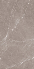 1070 Керамогранит Artcer Stone Monte Taupe Carving 60x120