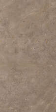 914 Керамогранит Artcer Stone Luish Brown Carving 60x120
