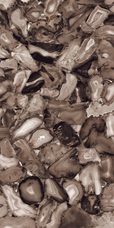 ENACN1013HG60120 Керамогранит Ennface Accent Volcanic Agate High Glossy 60x120 