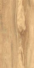Керамогранит Gresant Taiga Light Matt+Carving It 60х120