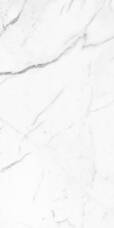 OC0000046 Керамогранит Ocean Ceramic Arabascato Bianco 80х160