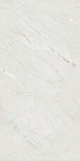 Керамогранит Sonex Tiles Glory White 60x120 Carving