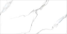 Керамогранит Staro Rizzi Statuario Carvino Polished 60x120 Керамогранит Staro Rizzi Statuario Carvino Polished 60x120