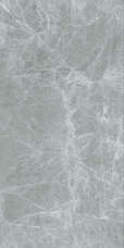 Керамические слэбы StaroSlabs Agata Grey 12 mm 320х160