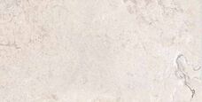 Керамогранит Ariana Memento 0012319 Limoges White Ant R 60x120