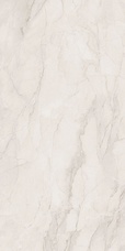 196001 Керамогранит Ava Bolgheri Stone White Nat Ret 60x120