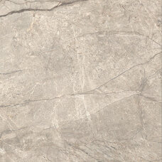 AIAH Керамогранит Caesar Anima Futura Amazing Silver Liscio Matt 120x120