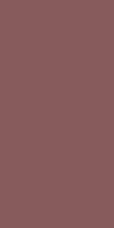 Керамогранит Rondine Pastel X Burgundy Ret 60x120