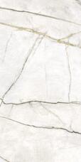 Керамогранит Arte Amarena Grey Pol 59.8x119.8
