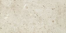 Керамогранит Arte Etno Silver Mat 8 mm 119,8x59,8