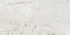Керамогранит Arte Shellstone White POL 8 mm 119,8x59,8