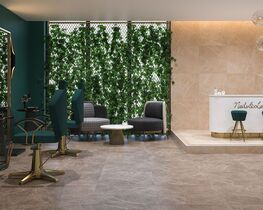 Ступени Ibis (Архив)