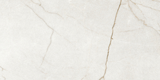 Керамогранит Argenta Raffaello Ivory Matt 60x120