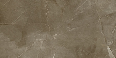 Плитка керамическая Baldocer Anubis Brown 31,6х63,2