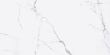 Керамогранит Fanal Iceberg 1198 Nplus Rect. 59,8x119,8