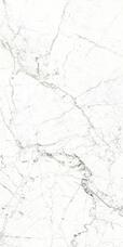 Керамогранит Fanal Windsor Lapp. White 60x120