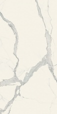 746605 Плитка Rex I Classici Stratuario Glossy 120x240