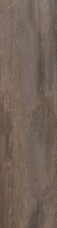 557572 Декор Roberto Cavalli Signoria Mogano Lap Rett Firma 25x100