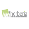 Herberia