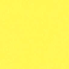 P66242 Напольная плитка FMG Chromocode Cadmium Lemon Naturale 60x60