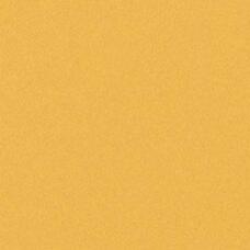 P66243 Напольная плитка FMG Chromocode Dark Orange Naturale 60x60