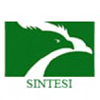 Sintesi