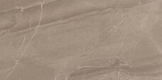 Плитка Ceramiche Piemme Geostone Terra Levigato 30х60