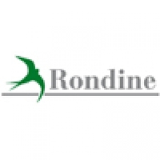 Rondine