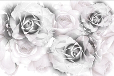 Бордюр Azuliber Gloss Infinity Conjunto Infinity Roses 20x60