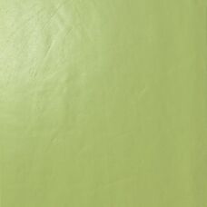 Керамогранит Casalgrande Padana Architecture Acid Green Gloss 60х60