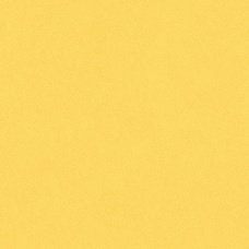 C&C Плитка настенная 20x20 (25шт=1мкв), желтый B2