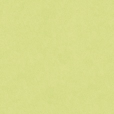 C&C Плитка настенная 20x20 (25шт=1мкв), салатовый B8
