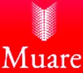 Muare