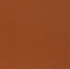 Керамогранит Sal Sapiente Моnocolour VOLCANIC PC кирпичный моноколор 60х60