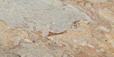 Керамогранит Sal Sapiente Wild Stone GWS 3013 (серо-коричневый) 30х60