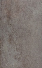 Керамическая плитка Argenta Jasna Gris 25x40