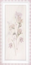 Dual gres Fragance Frame Rose 30x60 декор