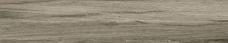 Напольная плитка Fanal Ceylan Gris NPLUS полир. 22x118
